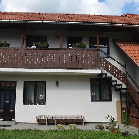 Havasi Gyopar Bed & Breakfast Praid Luaran gambar